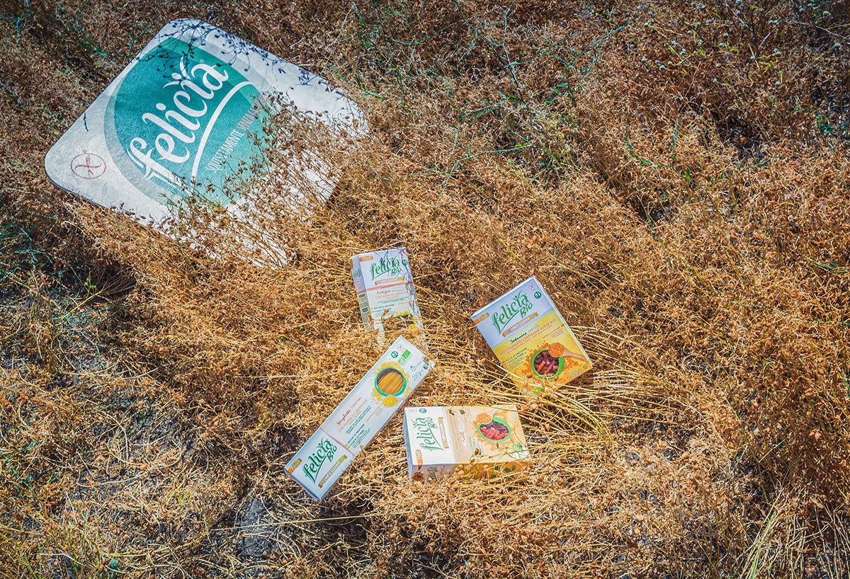 Andriani SpA Filiera