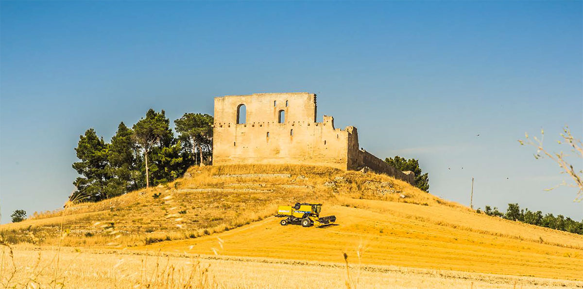 Andriani SpA Filiera